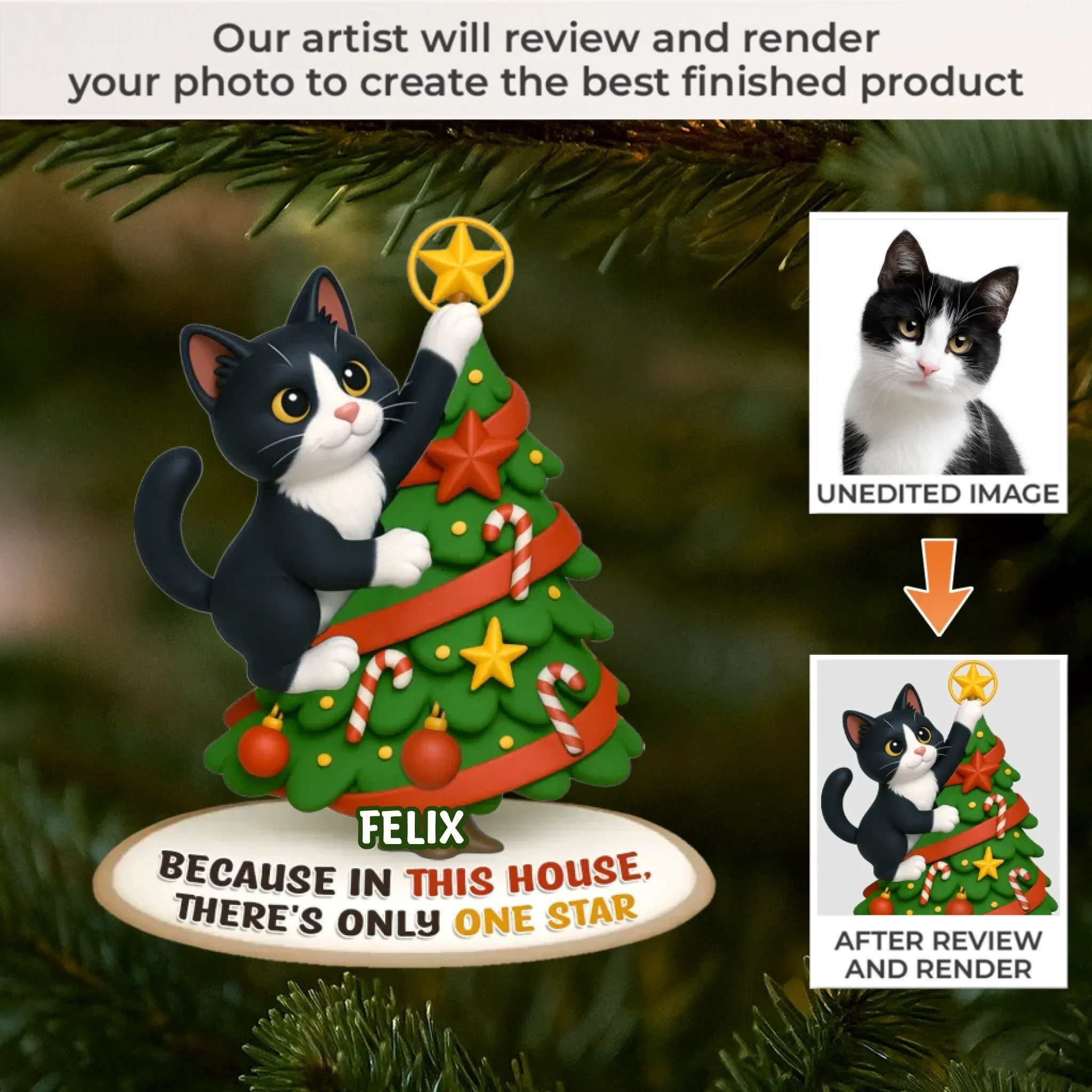 Custom Photo Acrylic Ornament - Personalized  Christmas Birthday Gifts For Dog Cat Lovers, Dog Dad And Mom, Cat Owners - Cat Steals The Show - Robaser