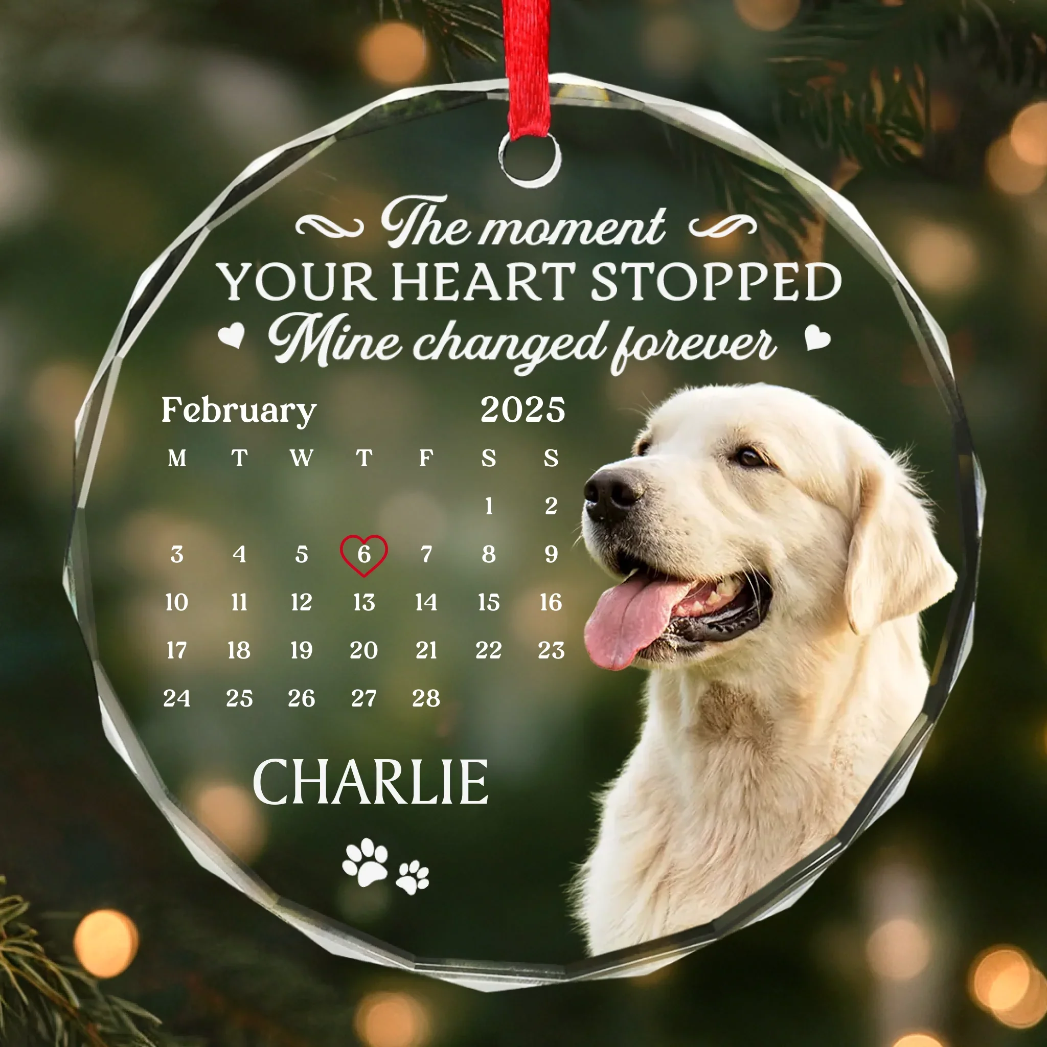 Custom Photo Circle Glass Ornament - Personalized Pet Christmas Memorial Sympathy Gifts For Dogs, Cats - Cherished Paws Forever In Our Hearts - Robaser