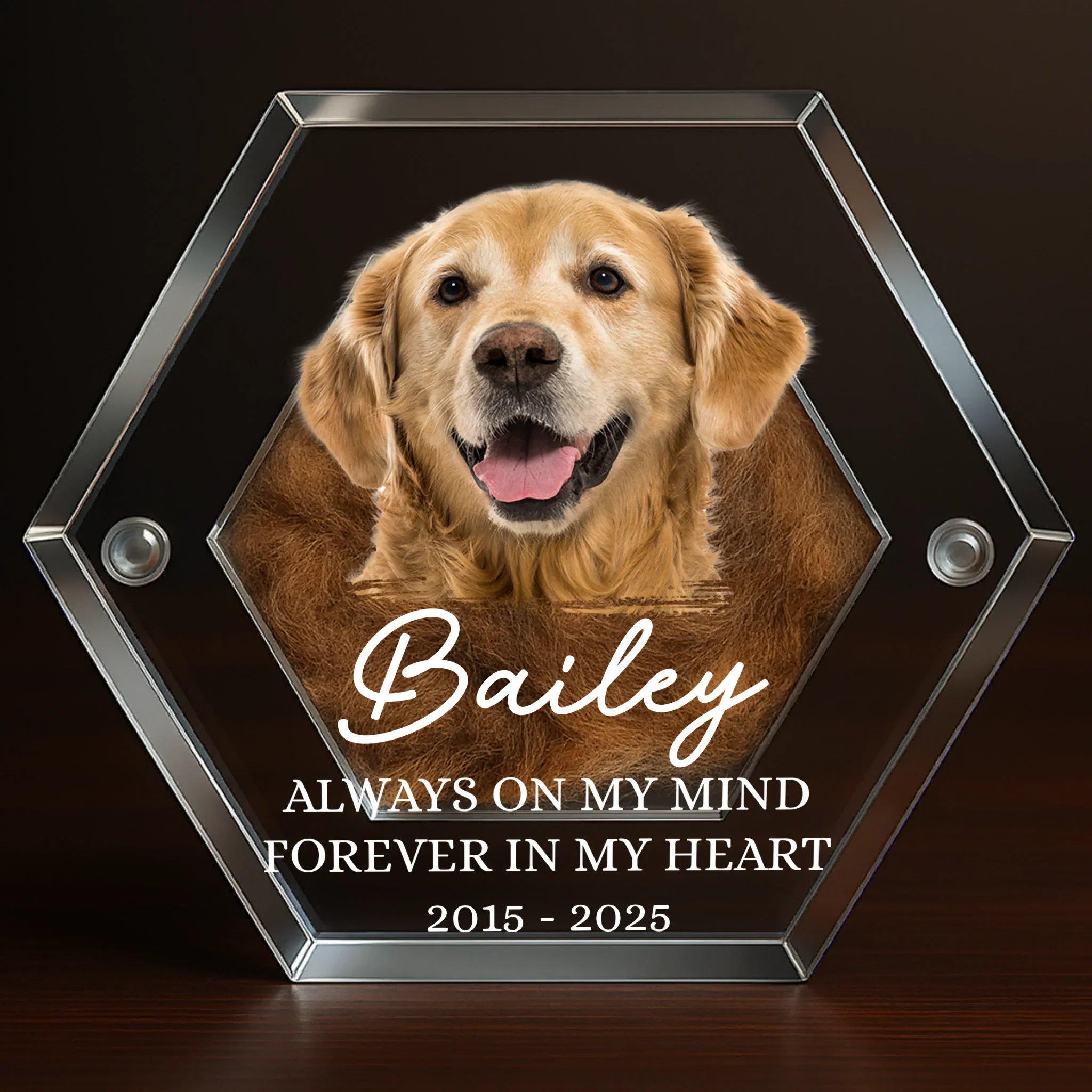 Custom Photo Pet Fur Keepsake - Personalized Pet Memorial Gifts For Dogs - Always In My Heart - Robaser