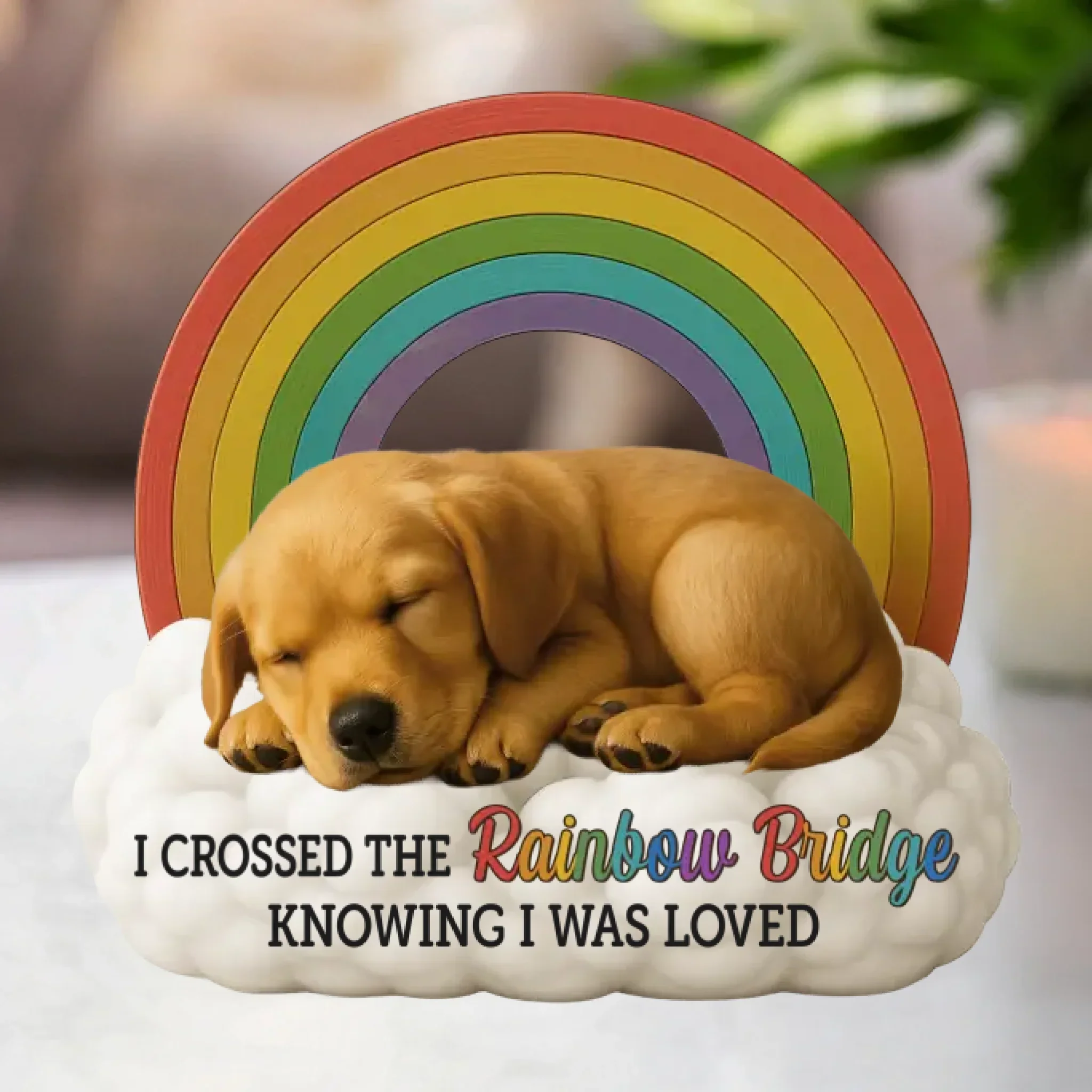 Custom Photo Forever In My Heart - Memorial Personalized Custom Acrylic Plaque Custom Shape - Sympathy Gift For Pet Owners, Pet Lovers - Robaser