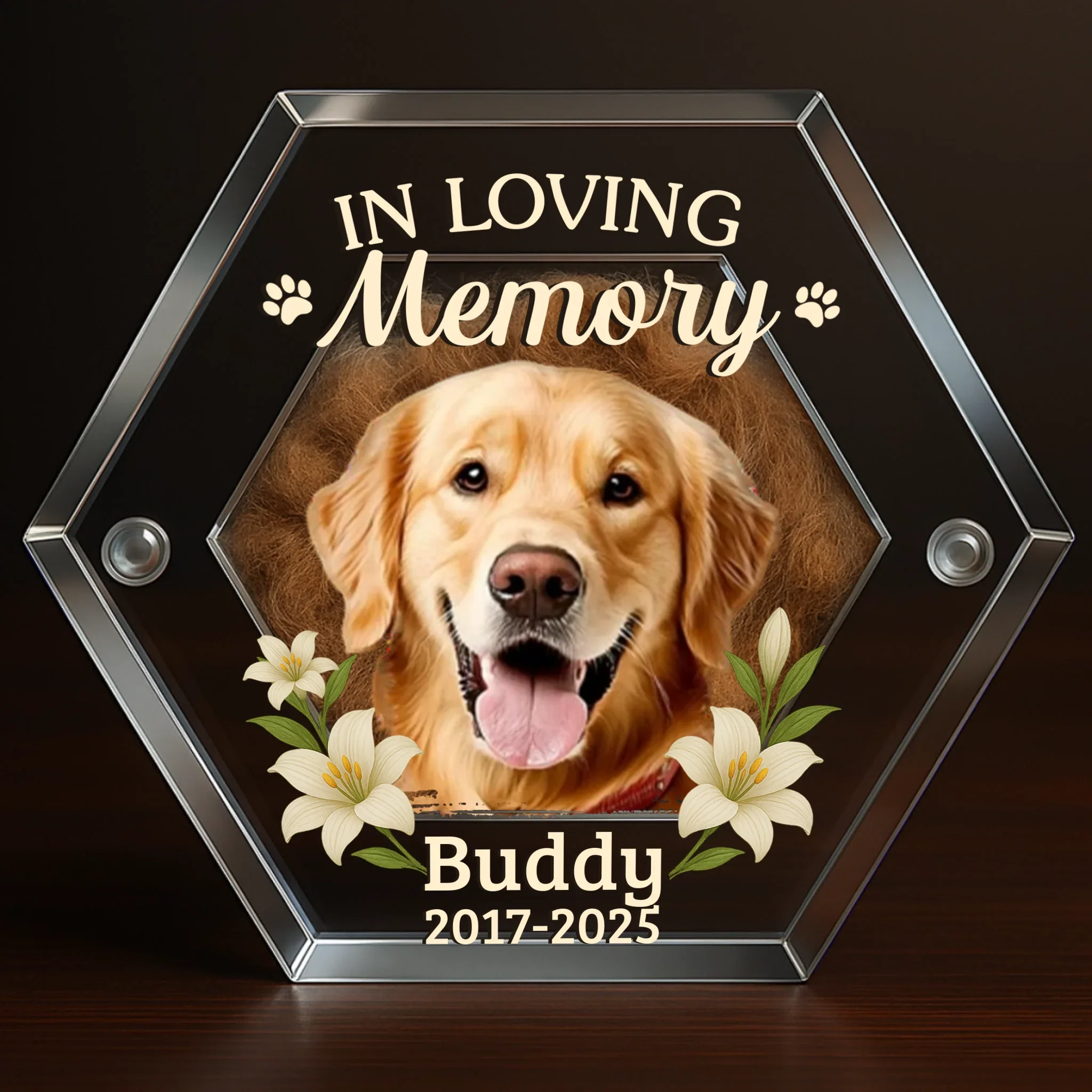 Custom Photo Acrylic Pet Fur Keepsake Box - Personalized Pet Memorial Sympathy Gifts For Dogs, Cats - Forever In My Heart - Robaser