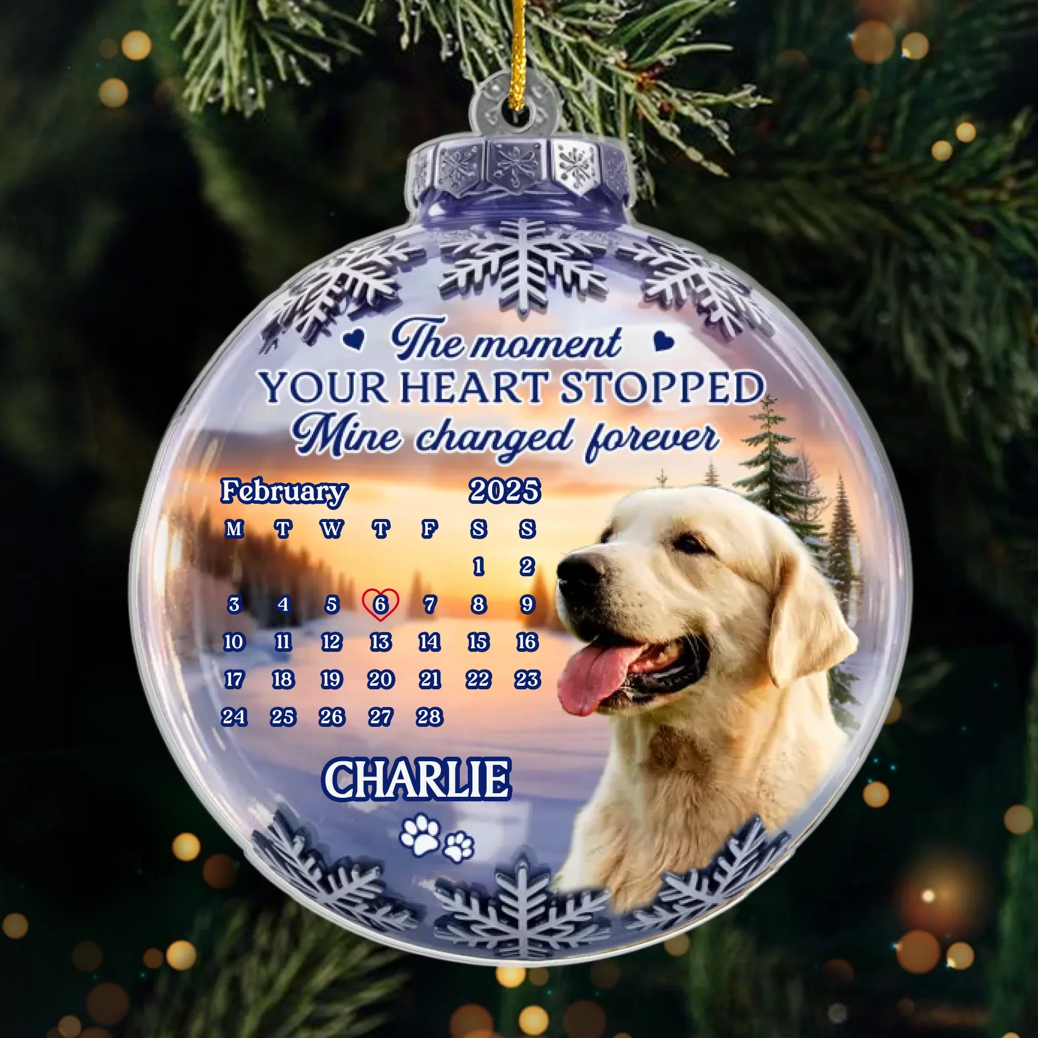 Custom Photo Acrylic Ornament - Personalized Pet Christmas Memorial Sympathy Gifts For Dogs, Cats - Forever Missed Forever Cherished - Robaser