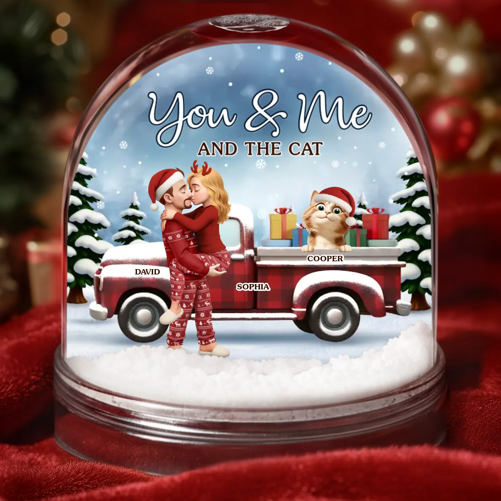 Custom Acrylic Snow Globe - Personalized  Anniversary Christmas Wedding Gifts For Husband And Wife, Gifts For Cat Lovers, Cat Mom And Dad - You Me And The Cat - Robaser