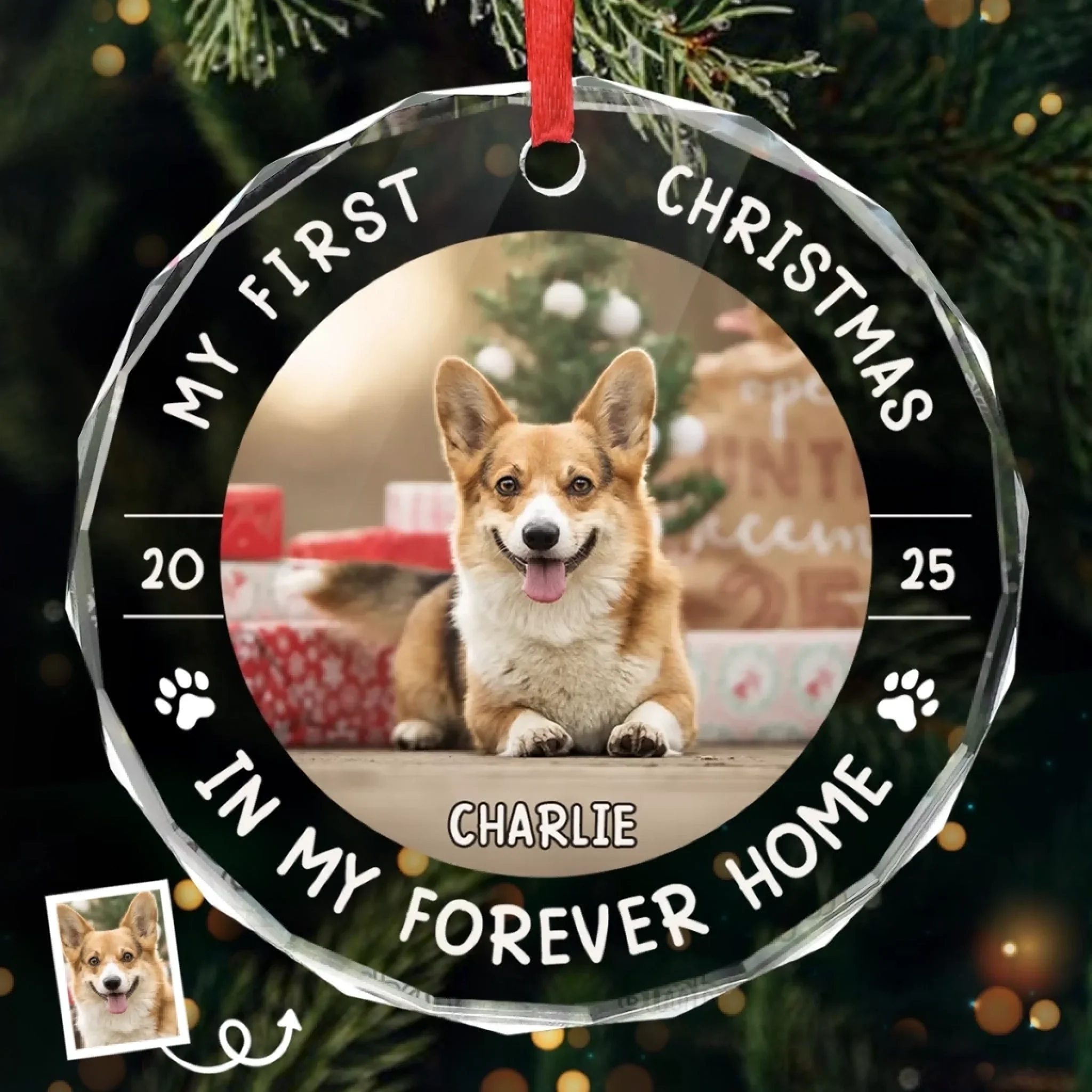 Custom Photo First Christmas Pet Glass Ornament - Personalized Christmas Birthday Gifts For Dog Lovers, Cat Lovers, Pet Dad And Mom, New Pet Ornament - Little Paws First Big Love - Robaser