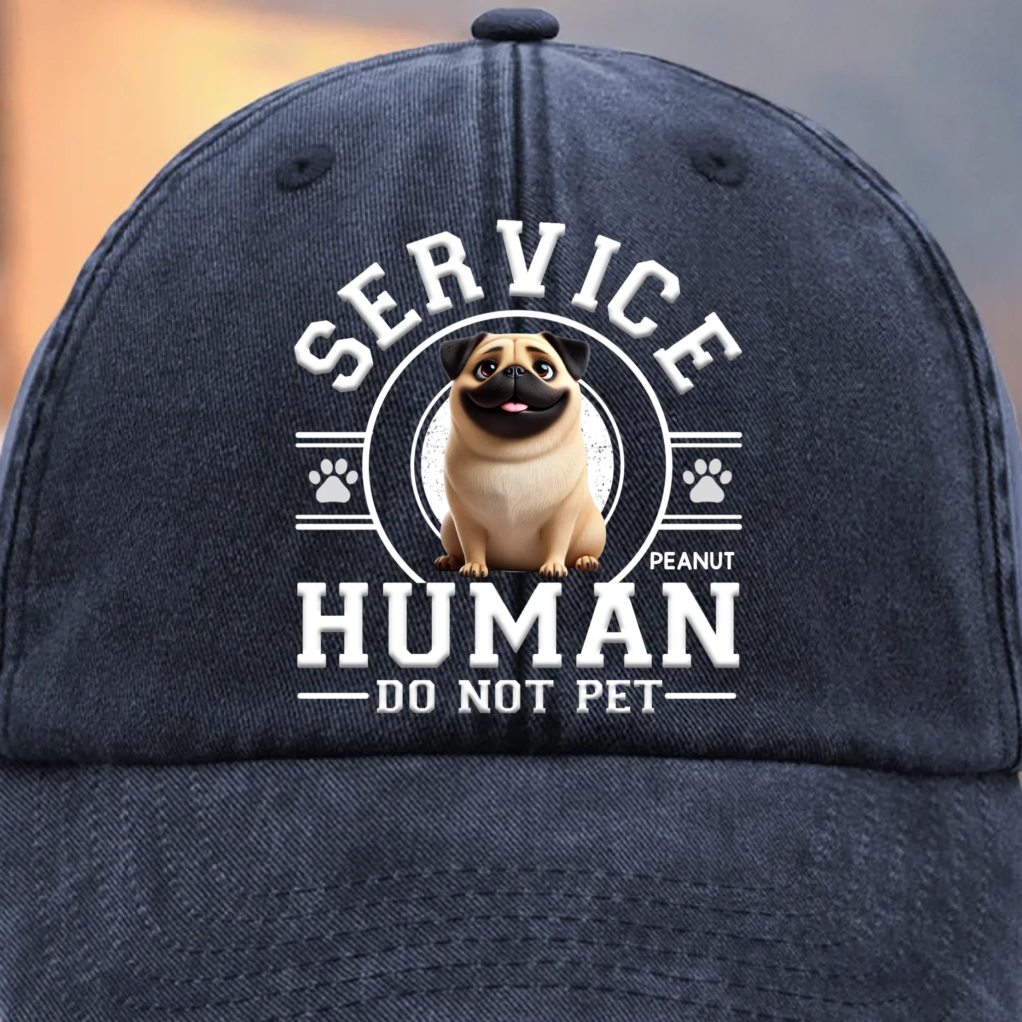 Custom Vintage Washed Denim Baseball Cap - Personalized Birthday Gifts For Dog Cat Lovers, Dog Dad And Mom, Cat Owners - Service Human, Do Not Pet - Robaser