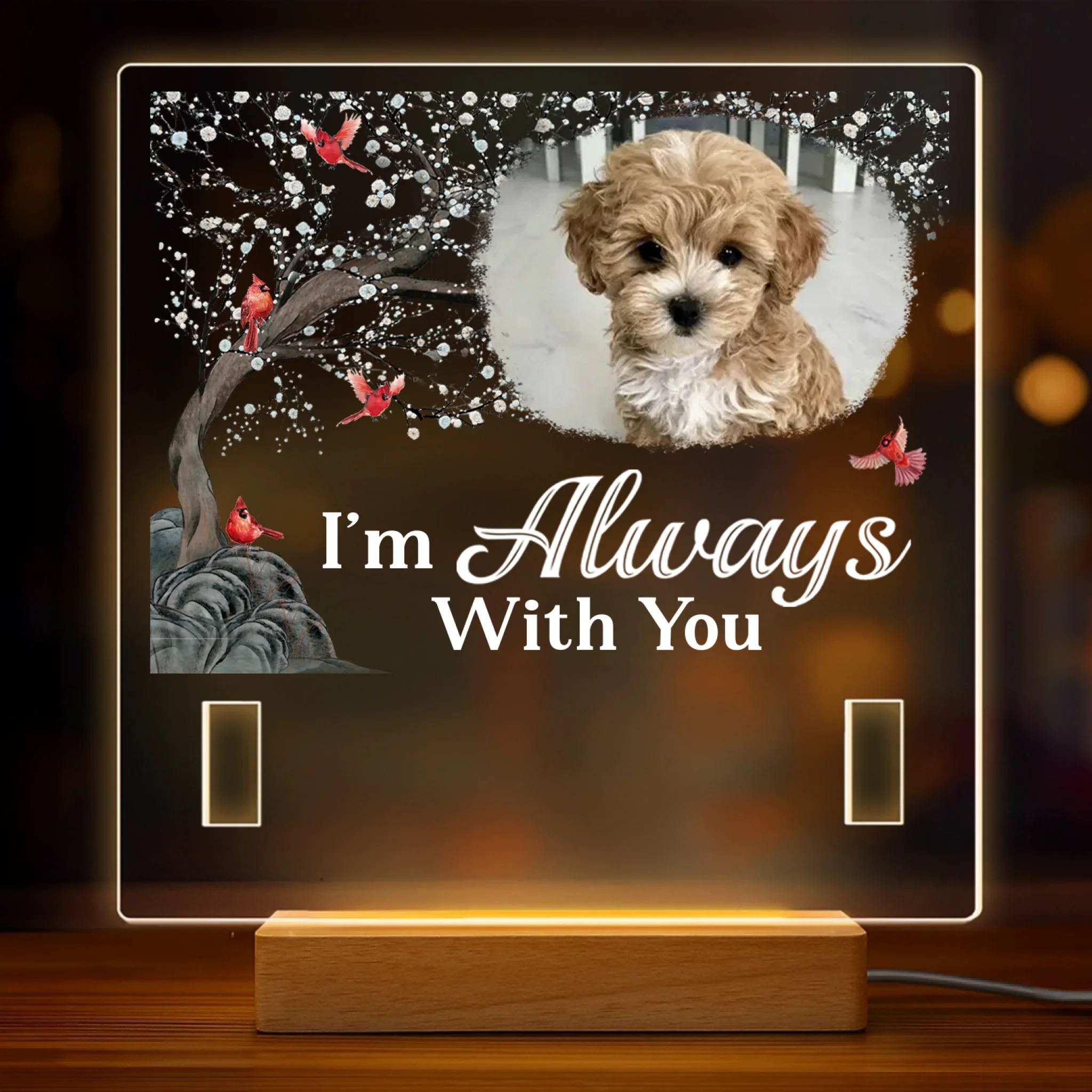 Custom Photo I'm Always With You - Memorial Personalized Custom Pet Loss Memorial Light - Sympathy Gift For Pet Owners, Pet Lovers - Robaser